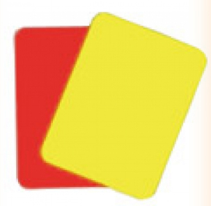 2041A - Pro Cards-Card Set